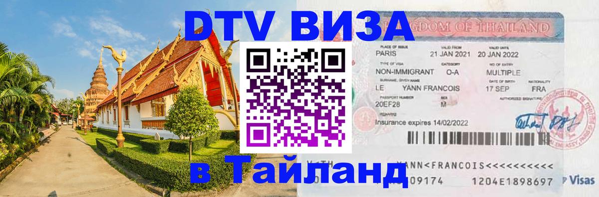 Оформление DTV визы под ключ: стоимость и тарифы, только загранпаспорт - Киев 